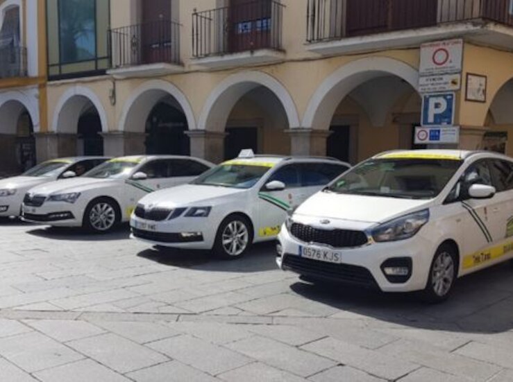 85000 euros para facilitar el traslado en taxi de las vctimas de violencia de gnero 