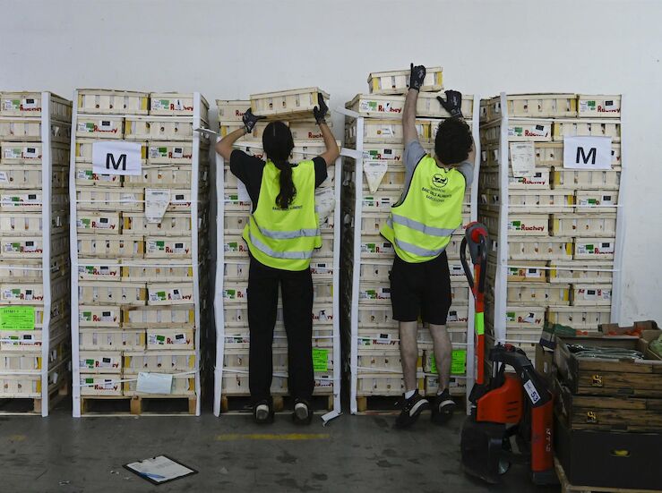 Banco de Alimentos de Cceres busca 400 voluntarios para la prxima Gran Recogida