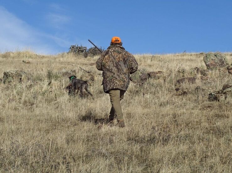 Aficionados a la caza ya pueden tramitir licencia en Extremadura de forma telemtica