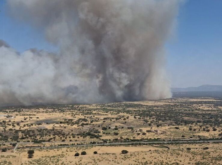 Allianz intensifica su protocolo especial ante incendios que estn asolando parte del pas