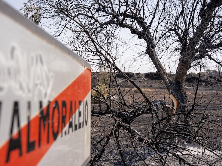 Extinguido incendio iniciado en Navalmoralejo que oblig a confinar Villar del Pedroso