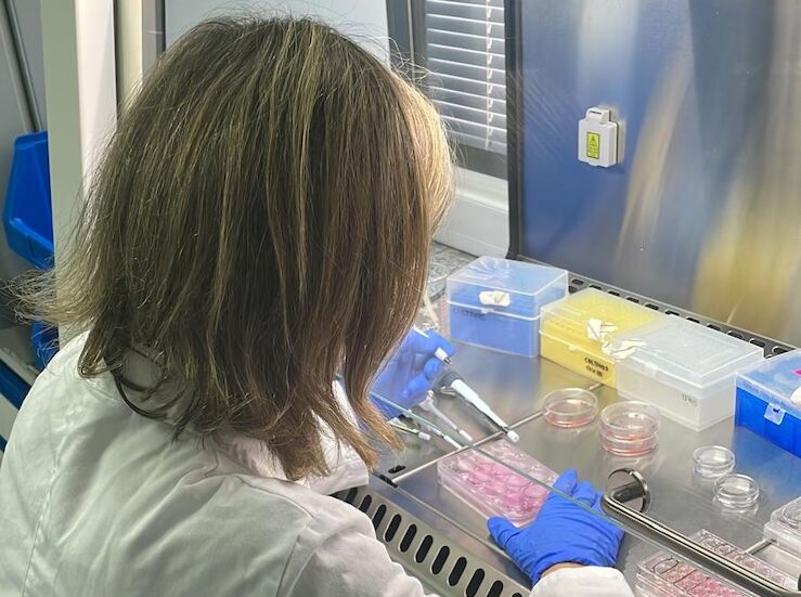 Sigue abierto el plazo de la Junta para pedir beca Fulbright de investigacin en EEUU