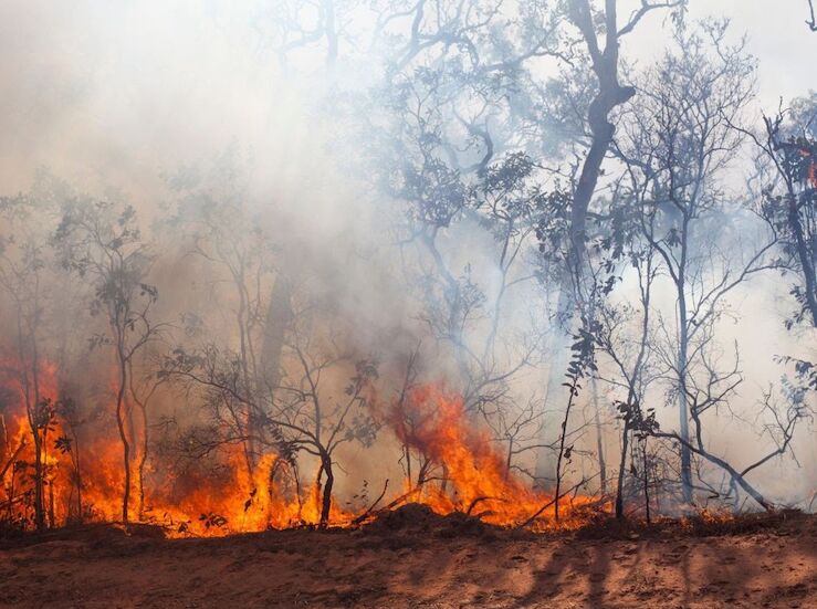 Clster de Seguridad de Extremadura ve creciente amenaza incendios de sexta generacin