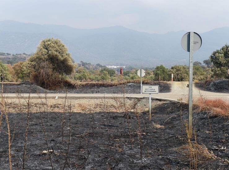 Fiscala investiga si municipios ms afectados por incendios tienen planes de prevencin