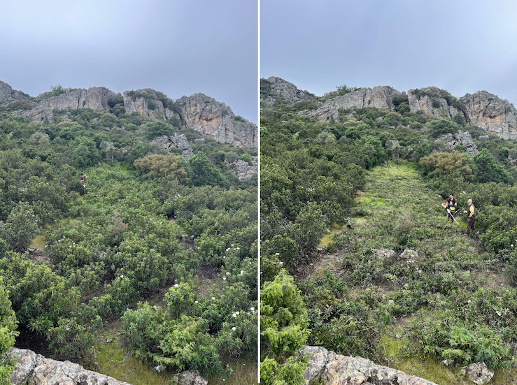 Los cazadores extremeos invierten ms de 85M anuales en prevencin incendios forestales