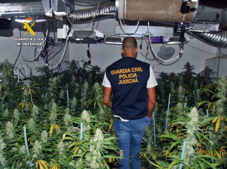 Detenido un vecino de Villagarca de la Torre por cultivo de marihuana 