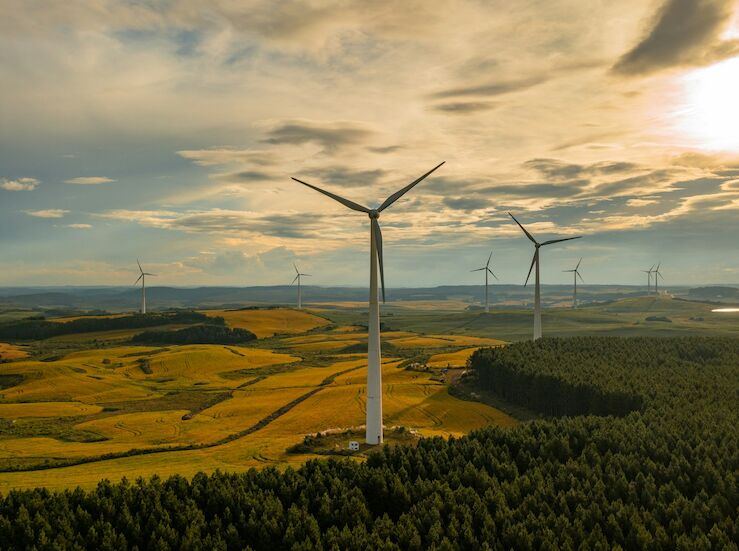 COBRA IS en la construccin de la mayor planta de biocombustibles 2G del sur de Europa