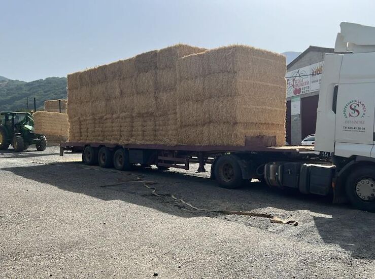 La Junta entrega paja a los ganaderos afectados por los distintos incendios de este verano