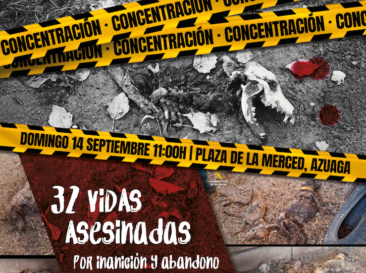 Colectivos animalistas pedirn en Azuaga justicia por muerte de 32 perros de caza