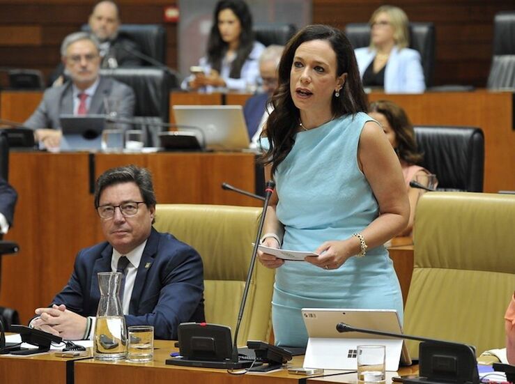 La Junta reitera la dejadez de funciones del Gobierno en atencin a menores migrantes