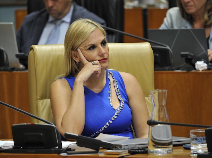 Manzano se defiende de las crticas de crisis permanente de Gobierno atribuidas por PSOE