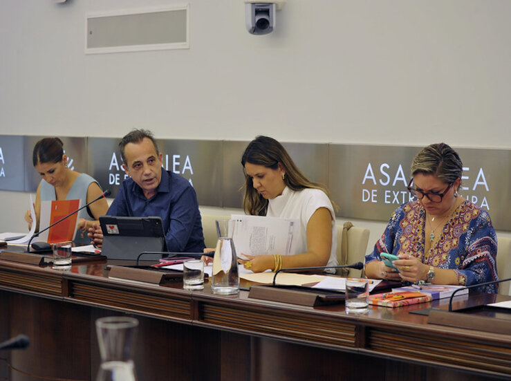 PSOE exige mejoras para los Programas de Atencin a las Familias en Extremadura