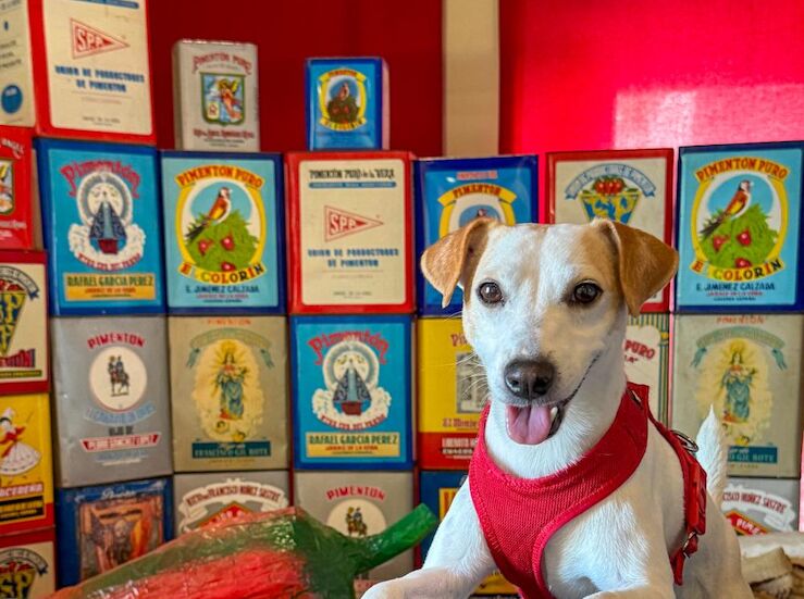 Extremadura prepara una gua para promocionarse como destino amigable para mascotas