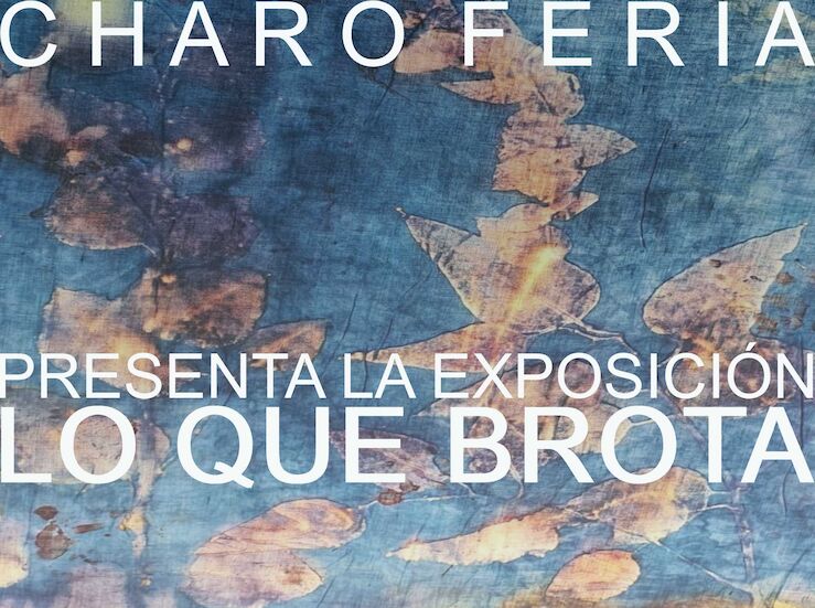 La Enredadera en Mrida abre temporada de exposiciones con Lo que brota con Charo Feria