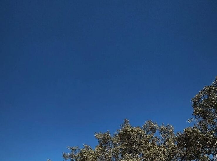 Coria licita aprovechamiento de pastos de la dehesa de Puebla de Argeme durante dos aos