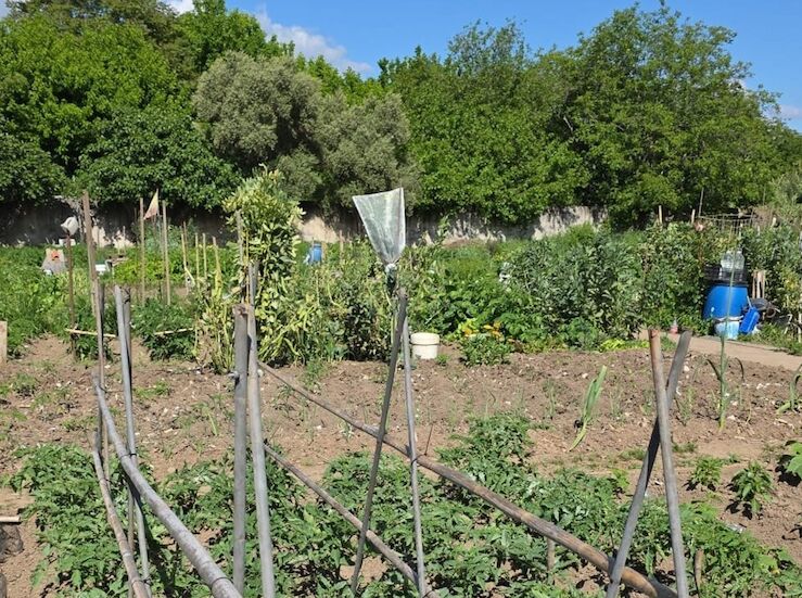 La UP de Cceres oferta 33 talleres de distintas disciplinas con 495 plazas