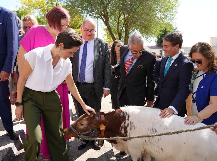 Diputacin Badajoz vuelve a estar presente un ao ms en la FIG de Zafra