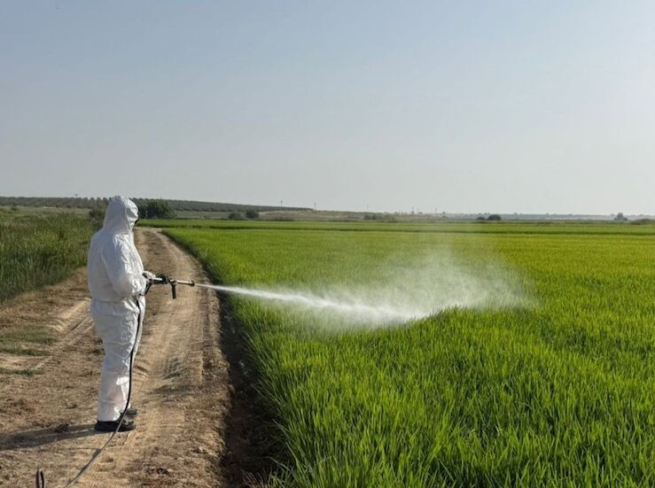 Diputacin de Badajoz concluye Plan Accin frente a Mosquitos en las Vegas Altas 2025