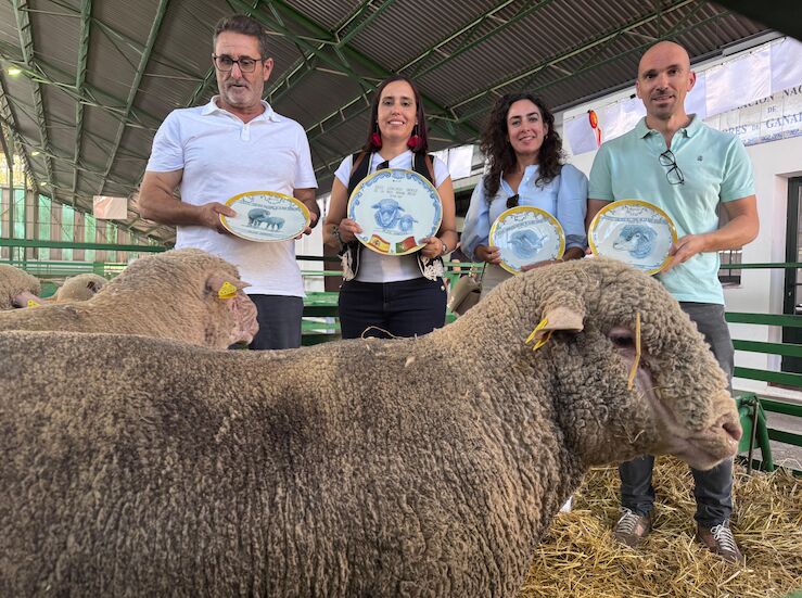 Ganadera Merino Precoz de la Diputacin vuelve a mostrar su excelencia en la FIG de Zafra