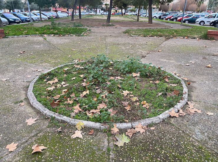 El PSOE de Badajoz celebra la puesta a punto del parque ngel Quintanilla Ulla 