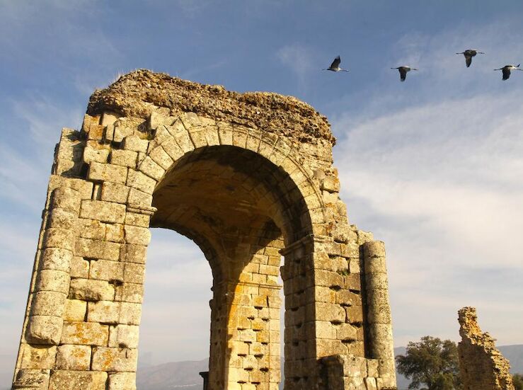 Expertos alemanes en Camino de Santiago conocen Va de la Plata a su paso por Extremadura