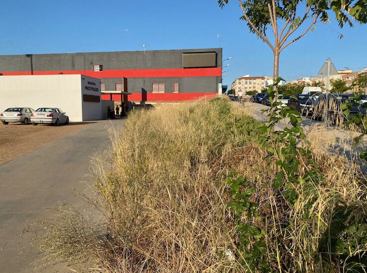 PSOEBadajoz lamenta el nuevo deterioro de los accesos al campo de ftbol Paco Pulido 