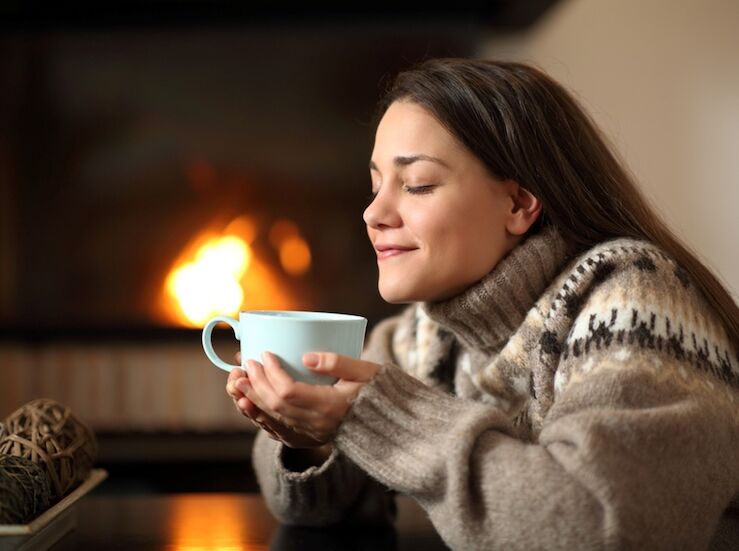 La importancia de elegir una buena estufa para disfrutar de hogar confortable y eficiente