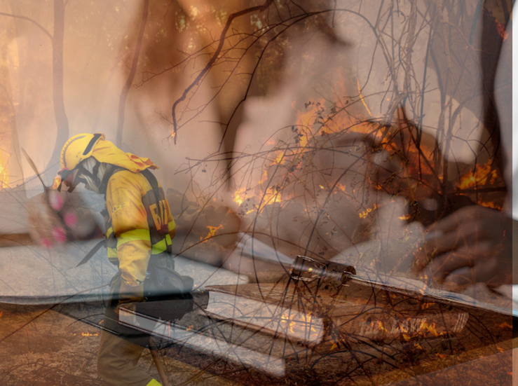 FEDEXCAZA presenta 15 medidas y pide reformar 5 leyes para la lucha contra incendios