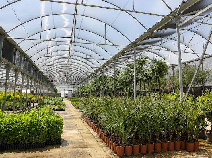 Diputacin inicia campaa anual suministro plantas para mejorar zonas verdes municipales