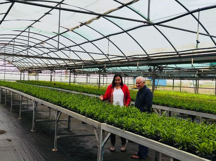 Diputacin de Cceres comienza el reparto de 32000 plantas ornamentales a 178 municipios