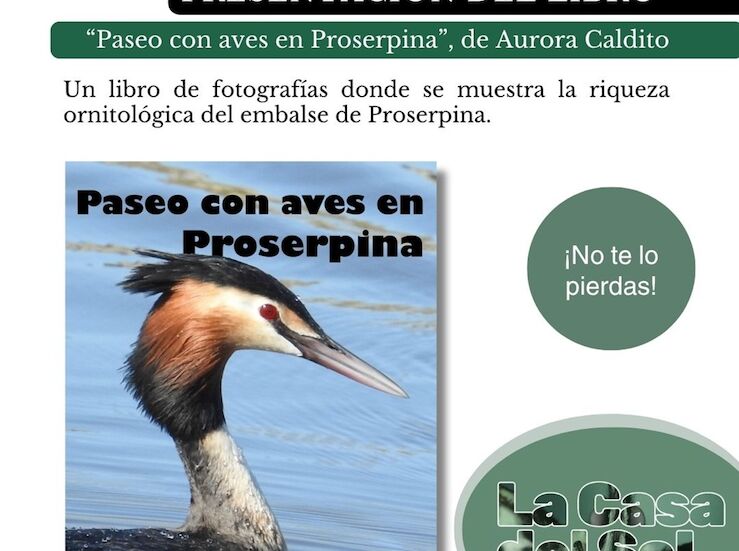 ADENEX llena de vida la ciudad de Mrida durante este mes de noviembre