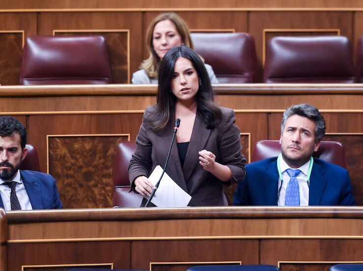 Vox reprocha al PSOE Junts y los socios parlamentarios cierre de las centrales nucleares