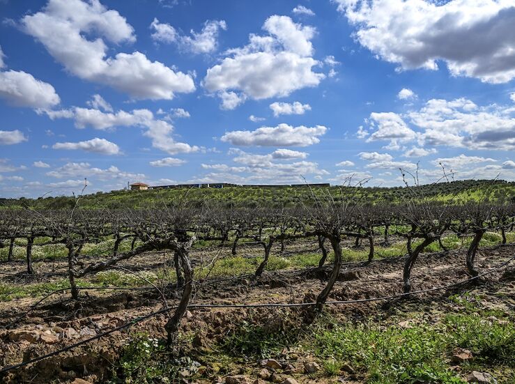 La CHG convoca las Juntas de Explotacin de las masas de agua subterrnea