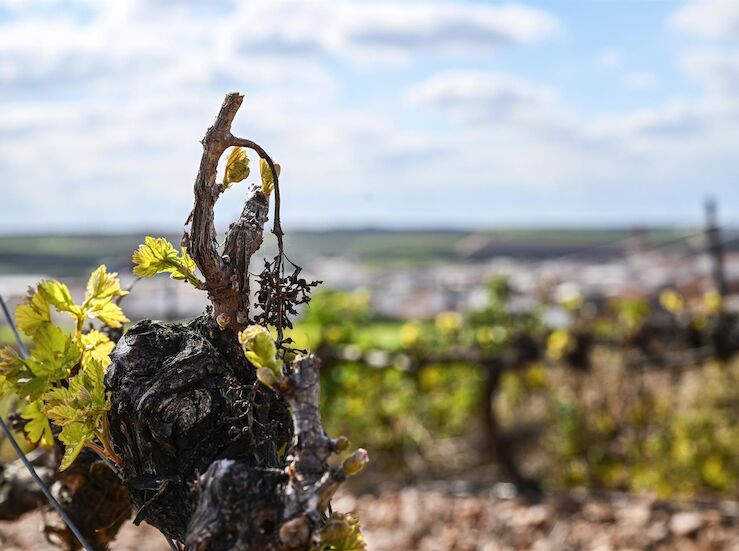 Junta Explotacin de masa agua subterrnea Tierra de Barros propone plan extraccin 2026