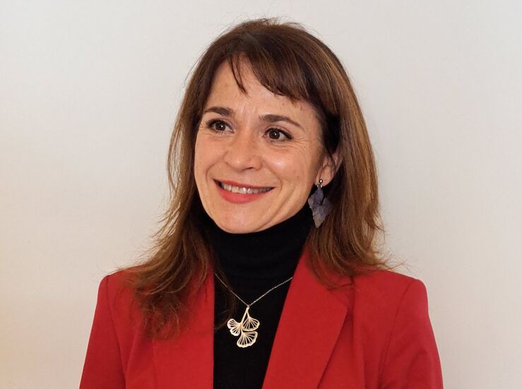 PSOECceres ve una chapuza Zona de Bajas Emisiones diseada por el Gobierno de Mateos