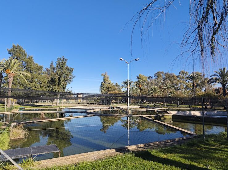 El domingo piscifactora de Villafranco del Guadiana celebra jornada de puertas abiertas