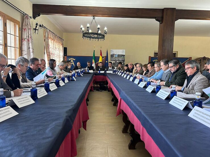 Abordada la reforma de la normativa Asuntos Taurinos para hacerla ms moderna y mas gil