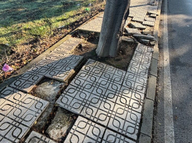 PSOEBadajoz alerta del grave problema de accesibilidad en avenida Manuel Rojas Torres