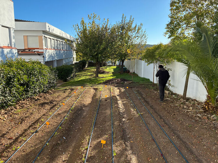 Comienza la siembra en los huertos escolares de Oliva de la Frontera y Zahnos