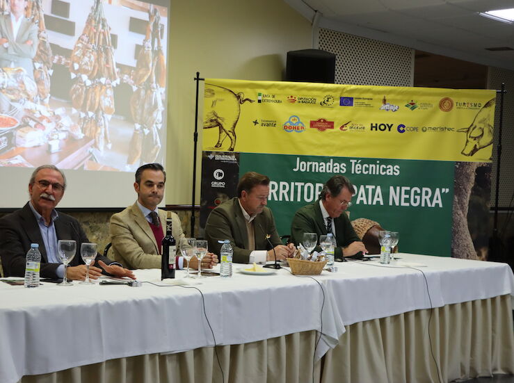 DO Dehesa de Extremadura Jabugo y Los Pedroches en jornada El cerdo en la dehesa
