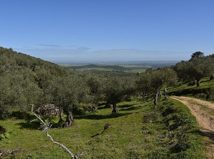 Diputacin licita por 46566 la asistencia tcnica para mejorar y homologar 60 senderos