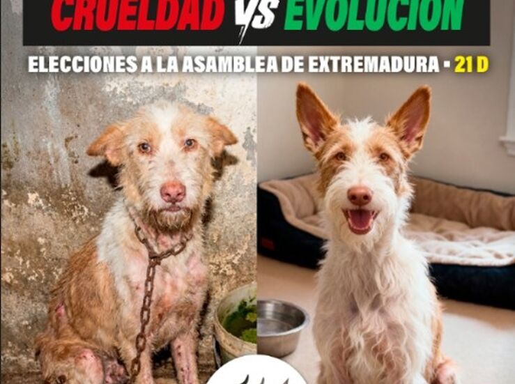Pacma invita en su campaa electoral a elegir entre crueldad o evolucin 