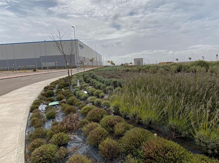 PSOE Badajoz Terminal ferroviaria de Plataforma Logstica fue decisin del gobierno Vara