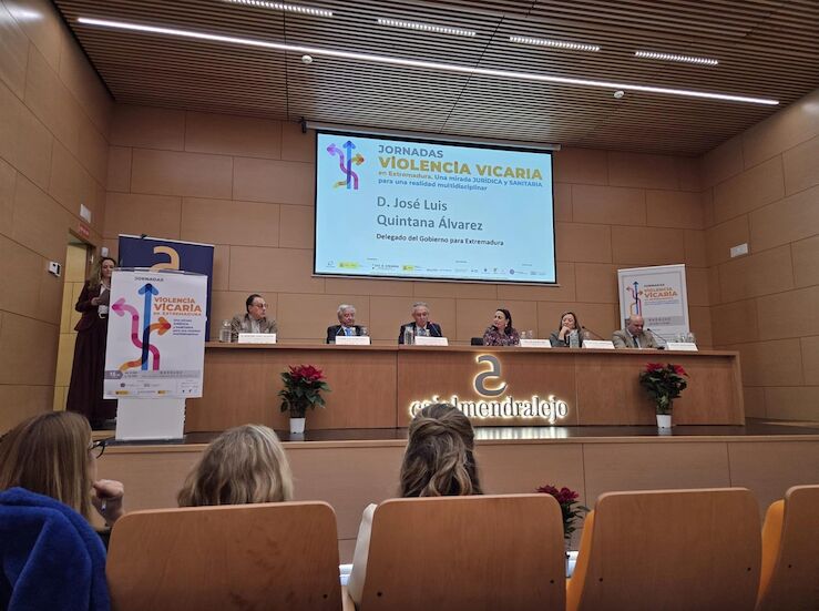 Unas jornadas abordan la violencia vicaria desde un punto de vista jurdico y sanitario