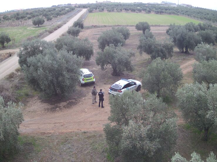 7 equipos ROCA de Guardia Civil con apoyo areo velarn campaa aceituna en Extremadura