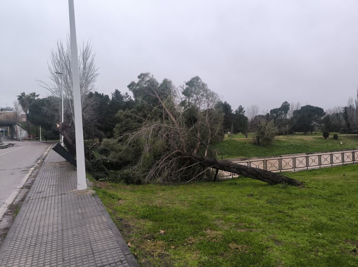 Mrida solicitar al Gobierno la declaracin de zona gravemente afectada por las borrascas