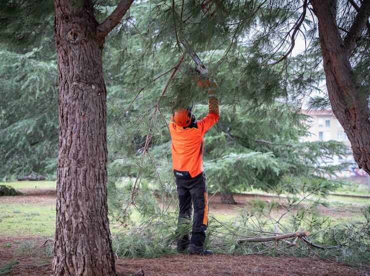 La Oficina por Incidencias del Temporal de Mrida podra ampliar su plazo de atencin 