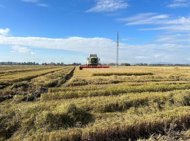 La Unin Extremadura denunciar el abuso de los precios del arroz de Mercoguadiana