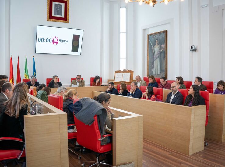 El pleno de Mrida a excepcin de Vox suscribe una declaracin institucional por el 8M