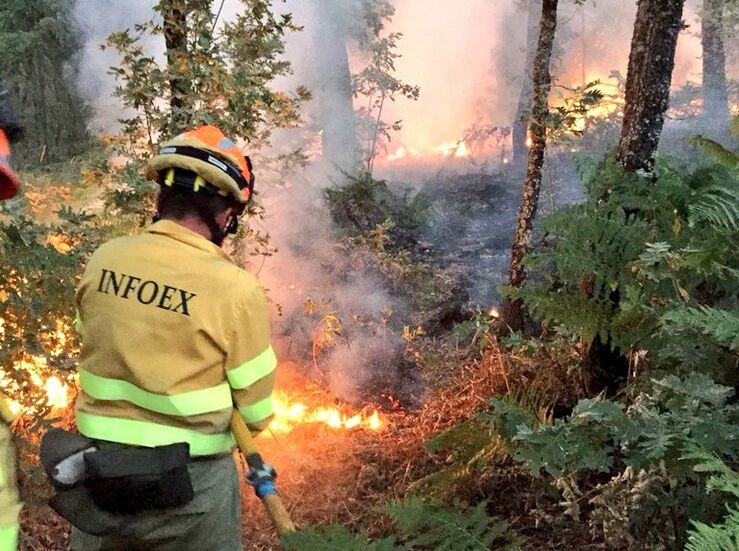 Junta incrementa un 25 el presupuesto para prevencin y extincin de incendios forestales